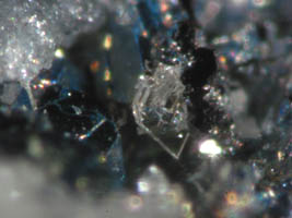 drugmanite-photo & coll JDV